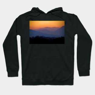 Last flight at sunset Hoodie